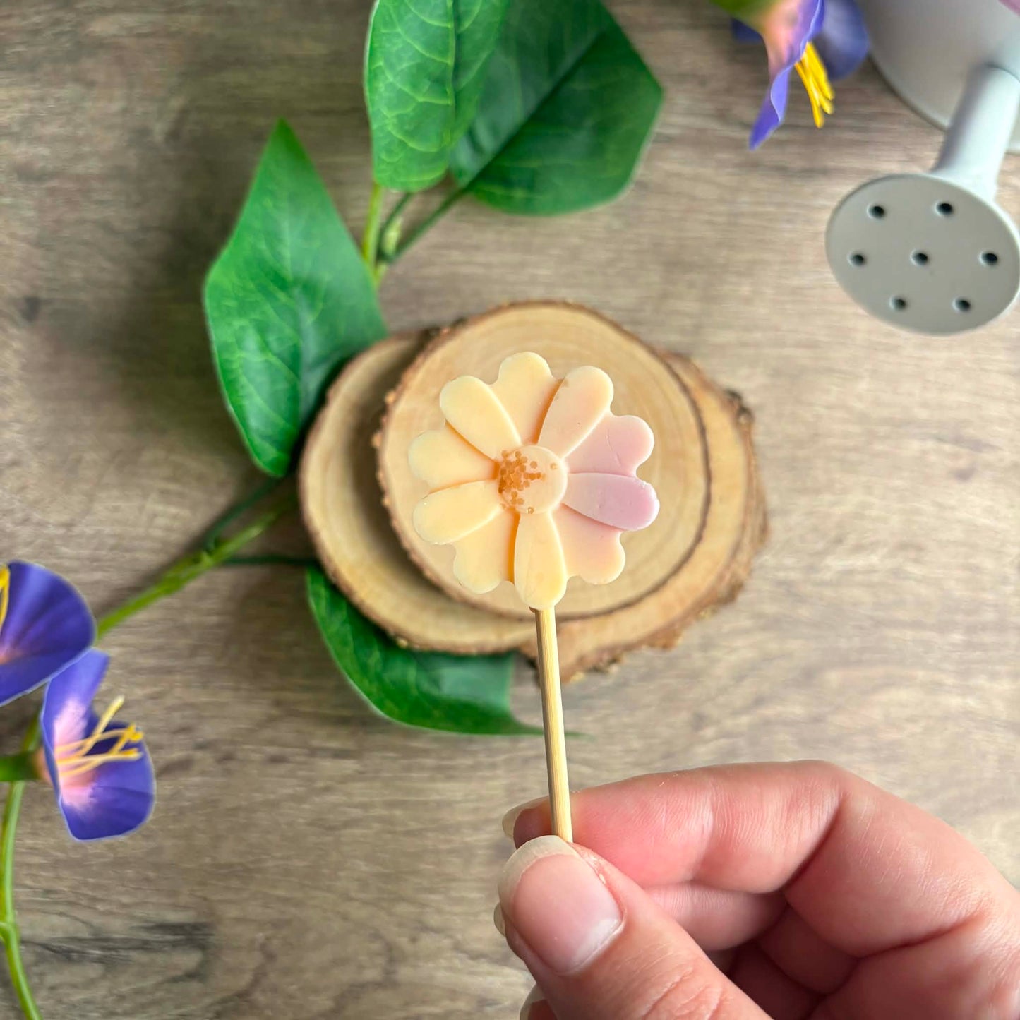 Fleur d'abricotier - Fondant parfumé