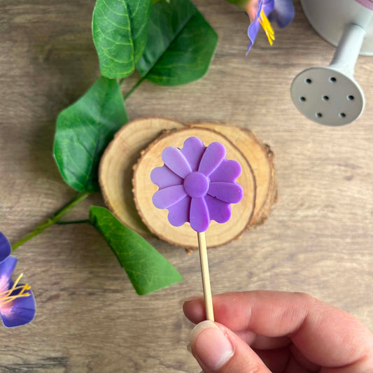 Mûre myrtille - Fondant parfumé